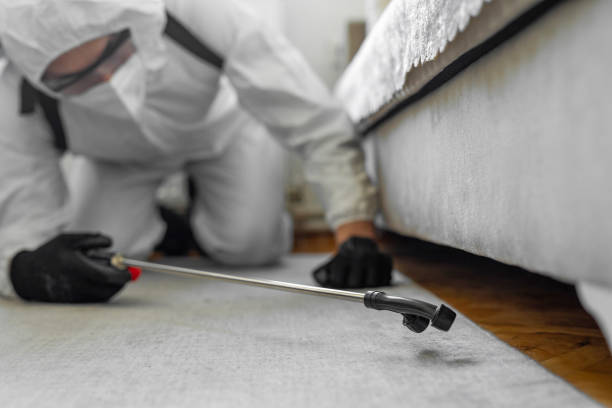 Professional Pest Control technician working in Mariposa County County, CA
